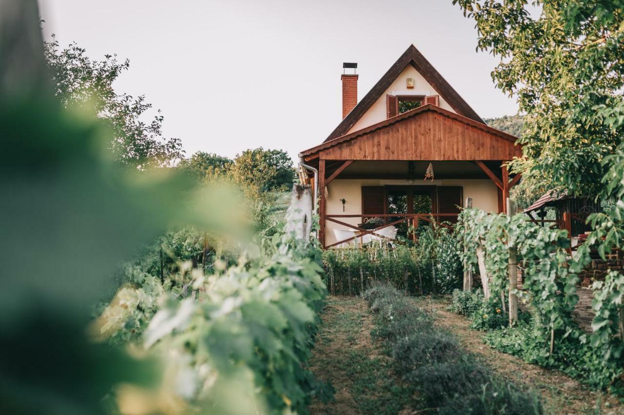 Szent Gyoergy Cottage Hegymagas Luaran gambar